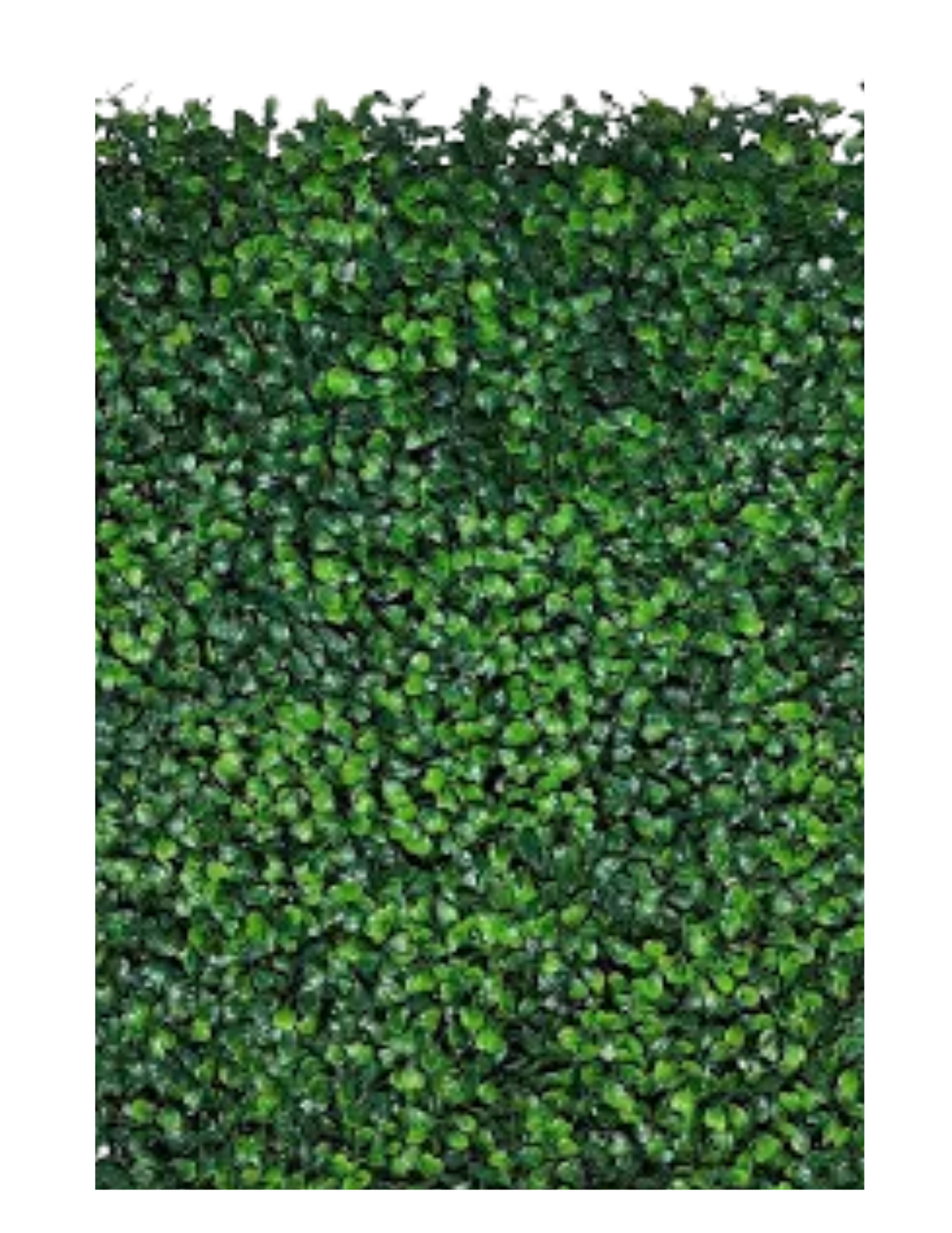 Grass Wall Backdrop